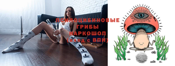 индика Вязники