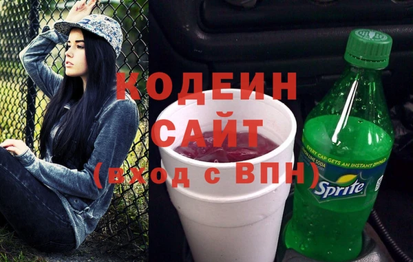 соль ск Вяземский