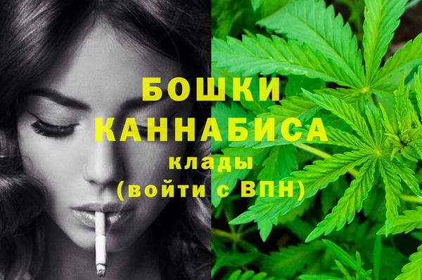 сатива Горняк