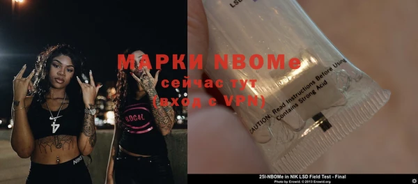 индика Вязники