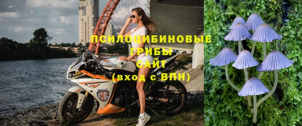 амф Вязьма