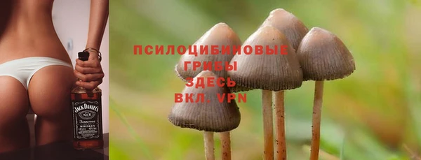 соль ск Вяземский
