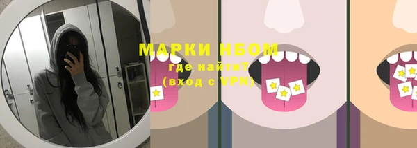 индика Вязники