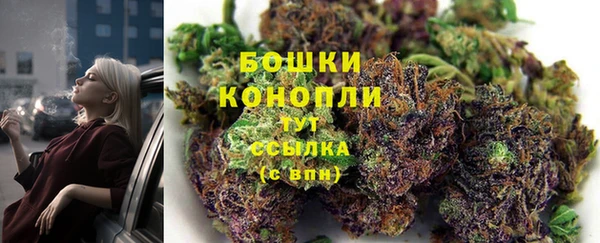 соль ск Вяземский