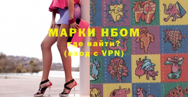 индика Вязники