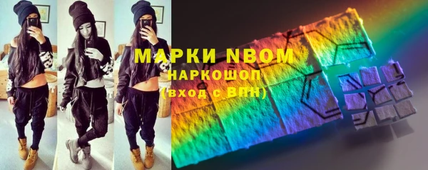 индика Вязники