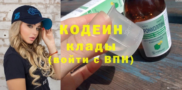 соль ск Вяземский